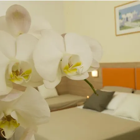 Consuelo Otel Riccione